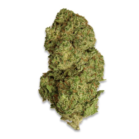 Blueberry Headband