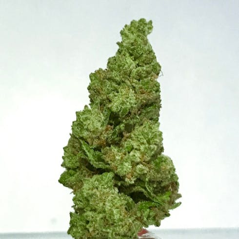 Top Shelf-1.1 Red Headed Stranger
