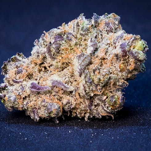 Moose and Lobster | Cannabis Nation