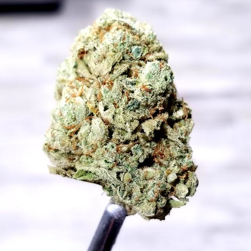 White Cookie