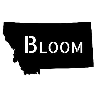 Bloom MT - Helena