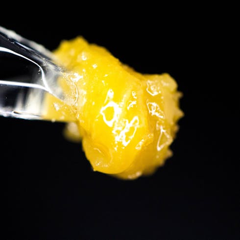Gorilla Zkittlez Live Rosin (0.5g)