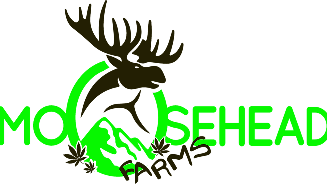 Moosehead Farms