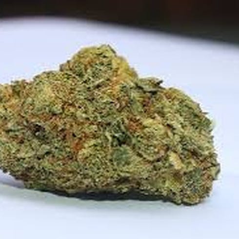 FRONITER HEADBAND FLOWER