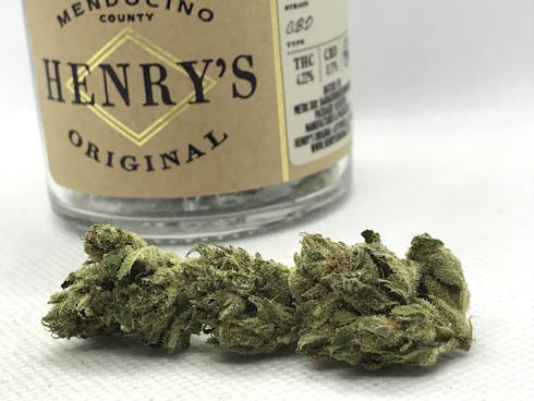 Coast CBD - Henrys Original