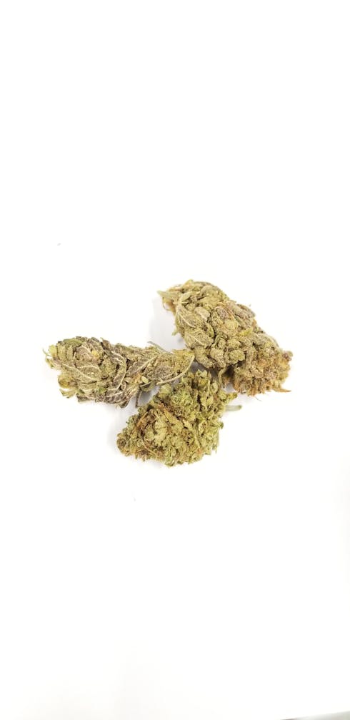 BLUE B MUFF