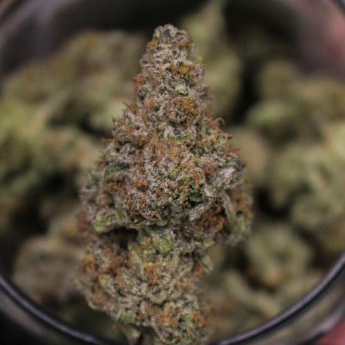 Bronze-3.6-Mandarin Cookies