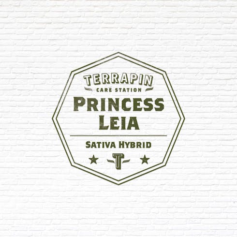 MED: Princess Leia