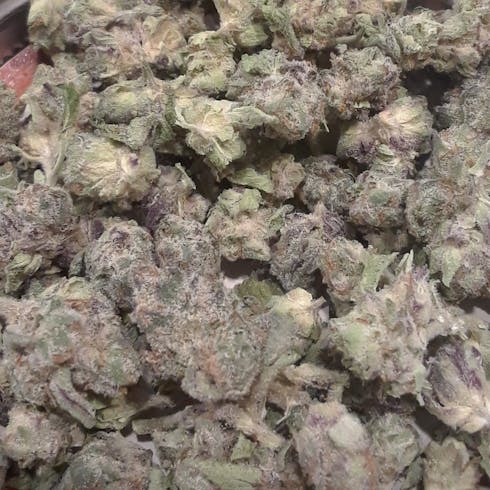 Purple Swish Sale!