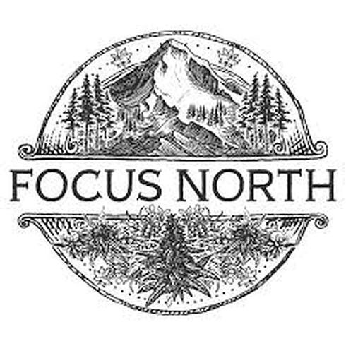 Now 'n' Later by Focus North