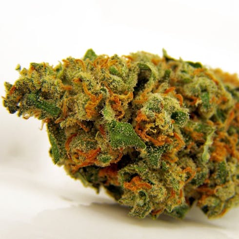 Jack Herer