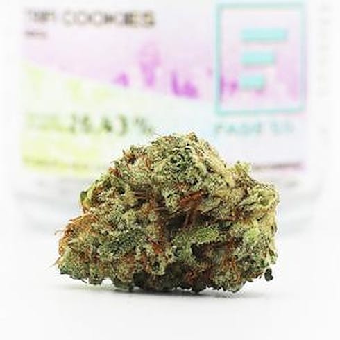 FadeCo Trifi Cookies