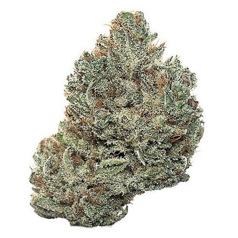 Kimbo Kush