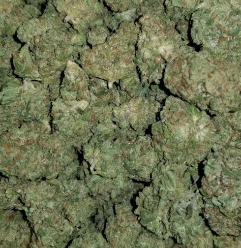 NC Fire