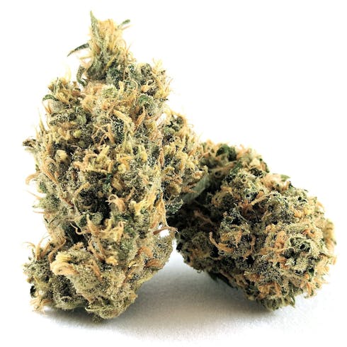 Canndescent - Charge 508 - 1g