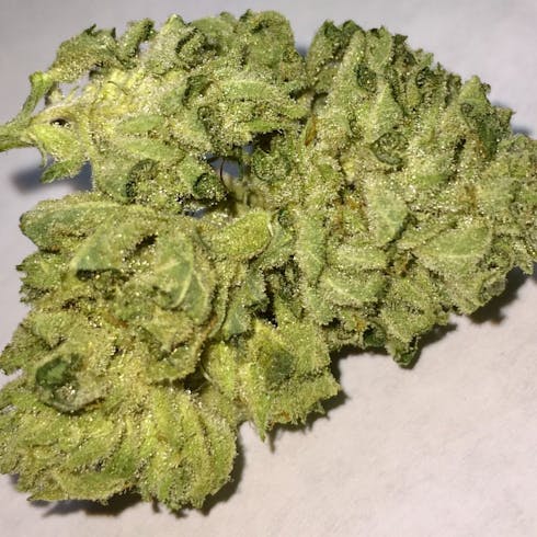 GSC (f.k.a. Girl Scout Cookies) (15.3% THC)