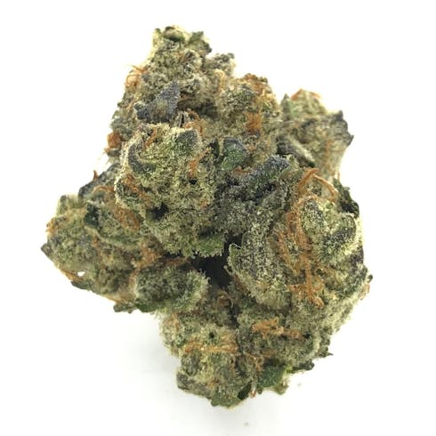 Sour Banana Sherbet by Fox Hollow Flora
