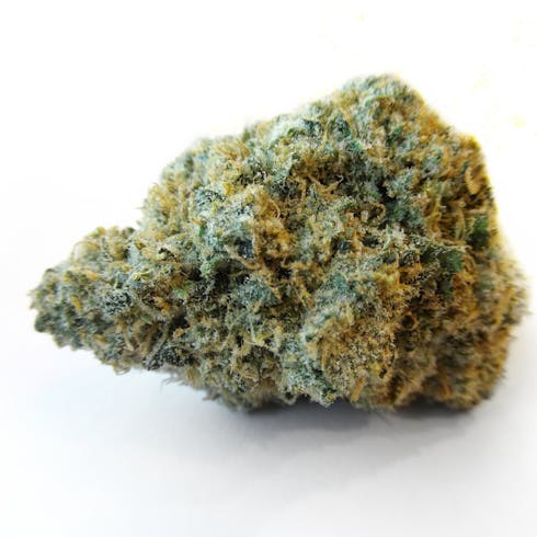 Blueberry Headband by Meraki Gardens