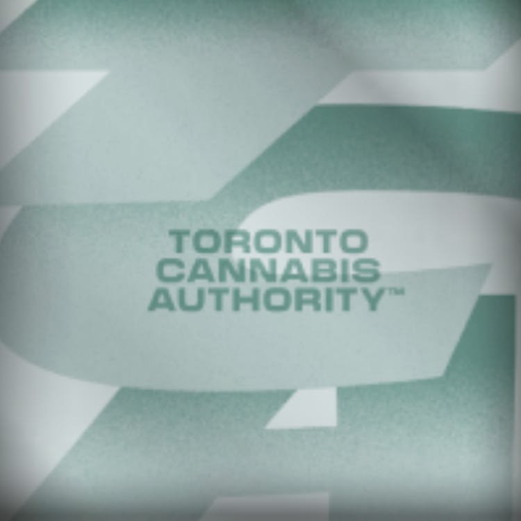 Toronto Cannabis Authority