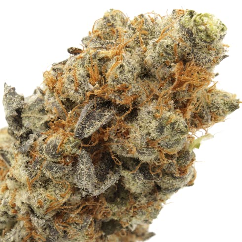 BRISKER OG