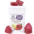 Wana Strawberry Margarita Quick 1:1 Gummies, 100mg THC/100mg CBD
