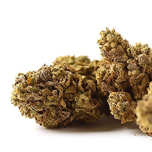 Critical +