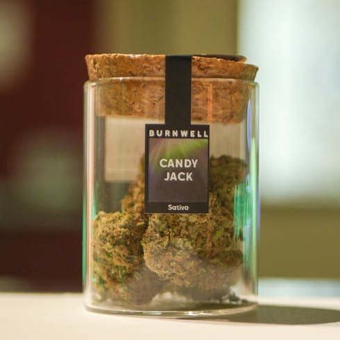 Candy Jack by Burnwell