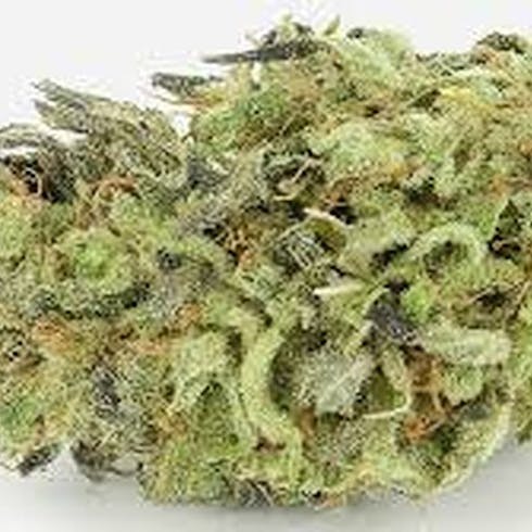 Durban Poison (20.5% THC)