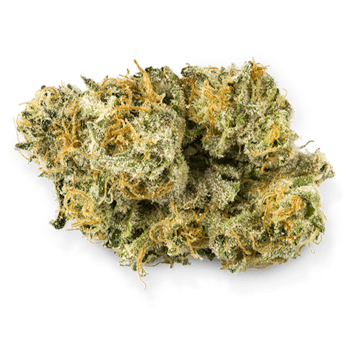 Lemon Dosi