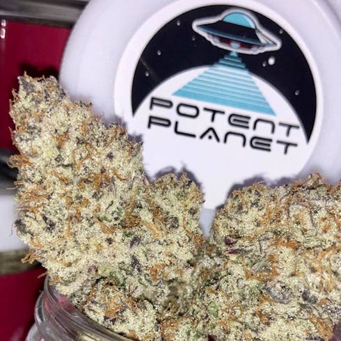 Slyme Cookies (Potent Planet)