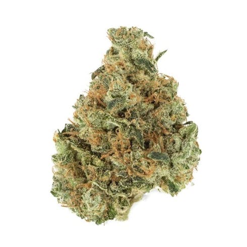 Ghost Rider by Grassroots