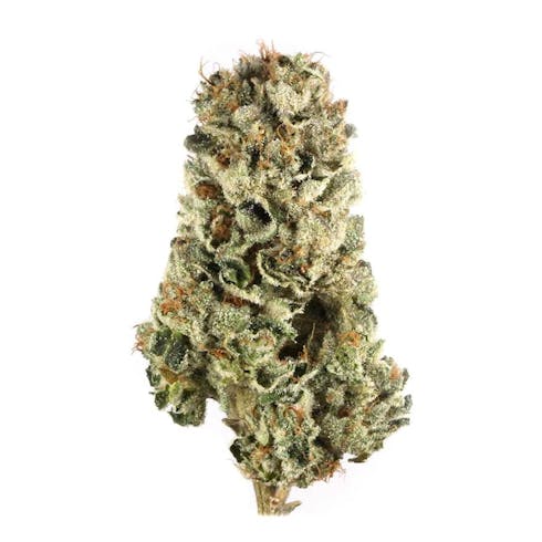 Cherry Pie Flower