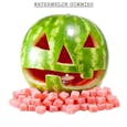 Mighty Viking Gummies - Watermelon