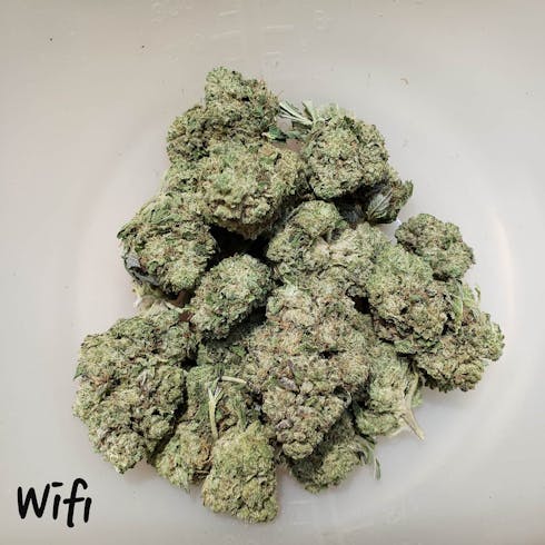 WiFi | $120 oz |