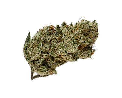OG Kush