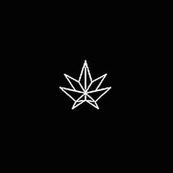 Shiny Buds - 410 Montreal St - Cornwall