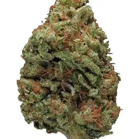 Bruce B. | Cannabis Nation