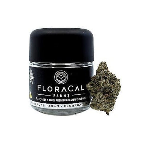 Sonoma Glue