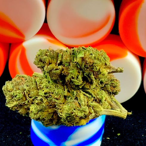 Sherbert (Taxes Included)