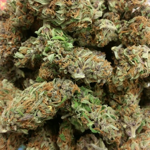 Blurple (TAX INCLUDED)
