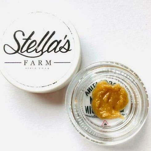 Live Chocolatina Rosin