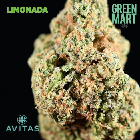 Limonada (Lemon Meringue X Dragon OG)