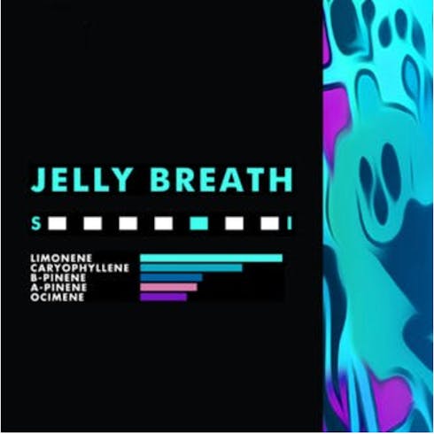 Jelly Breath