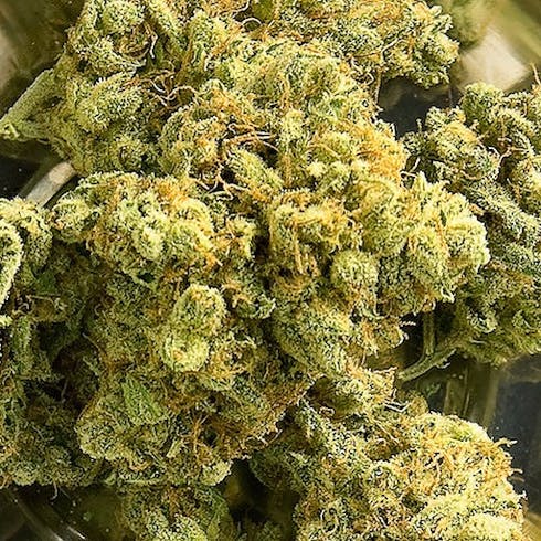 Limonada | Avitas