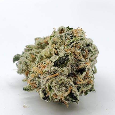 Sunset Sherbet | Grown by Cannabis Nation | REC