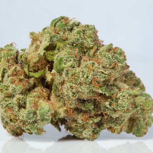 Blueberry Headband