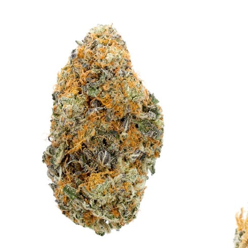 Gelato 33