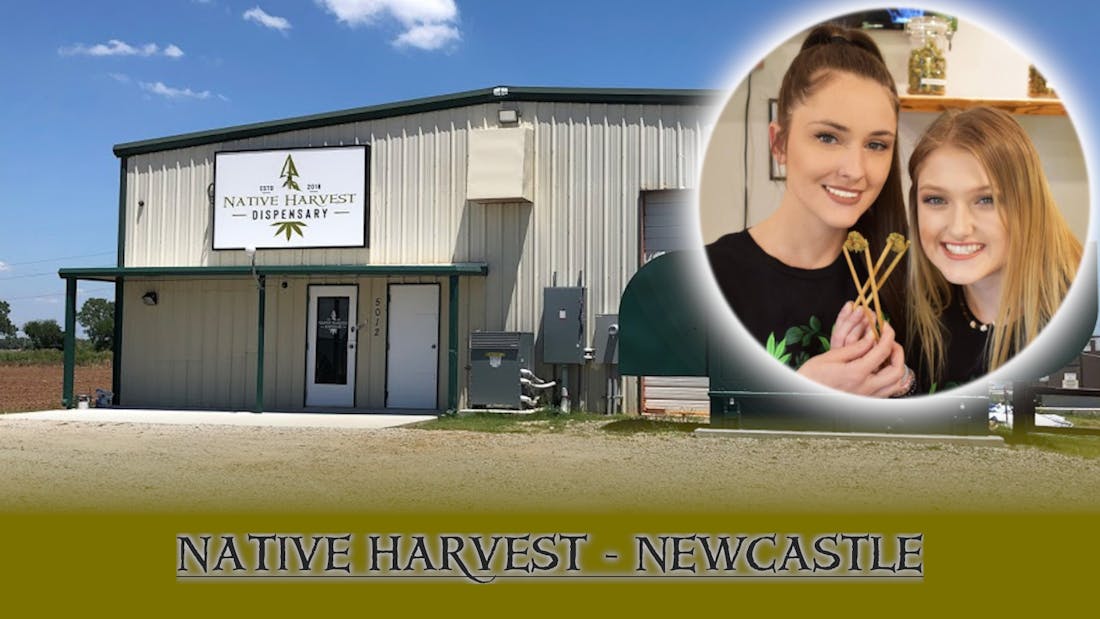 Native Harvest Newcastle