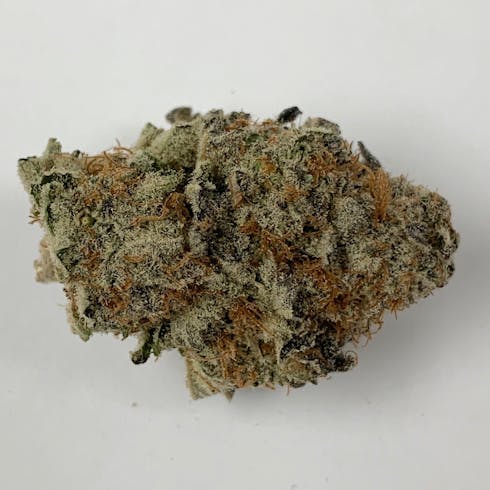MIMOSA