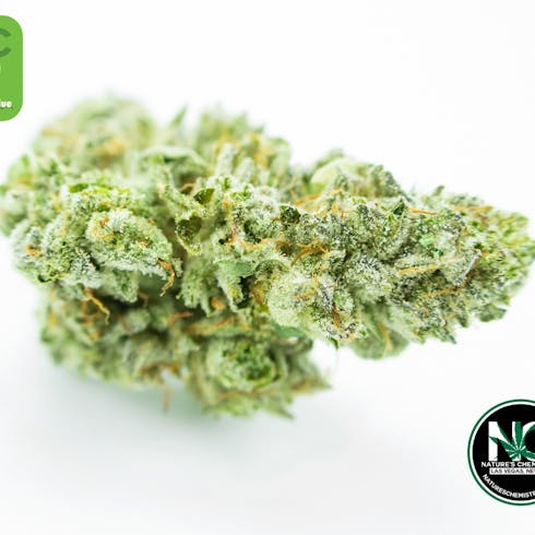 Glue (Nature's Chemistry)